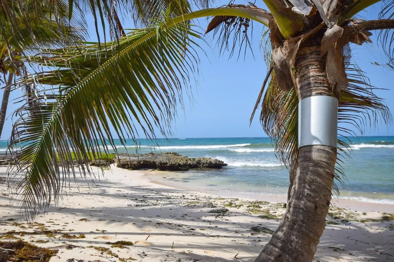 Rosalie Apt #2 By Bsl Rentals Christ Church Barbados